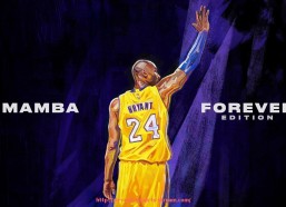 人人体育直播-广东籍CBA球员名单及其职业生涯表现