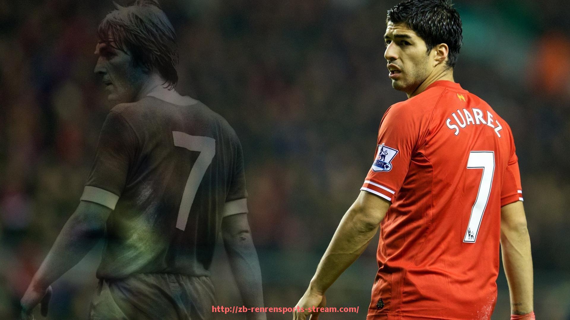 人人体育直播-健身器材标准动作教程:健身器材标准动作教程及示范